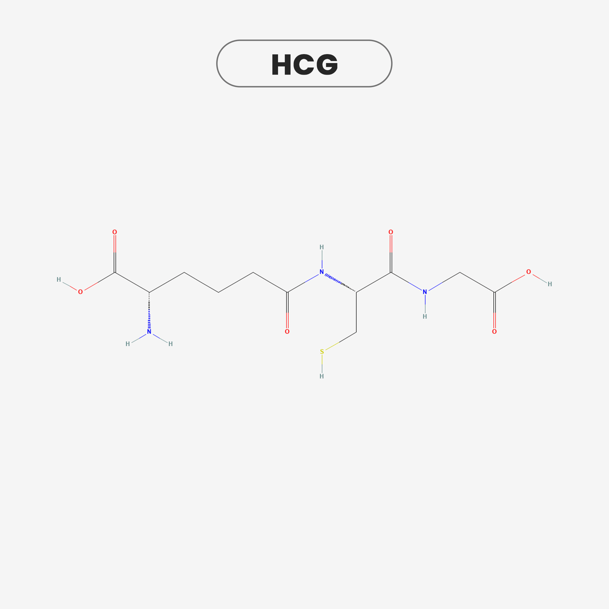 HCG view 2