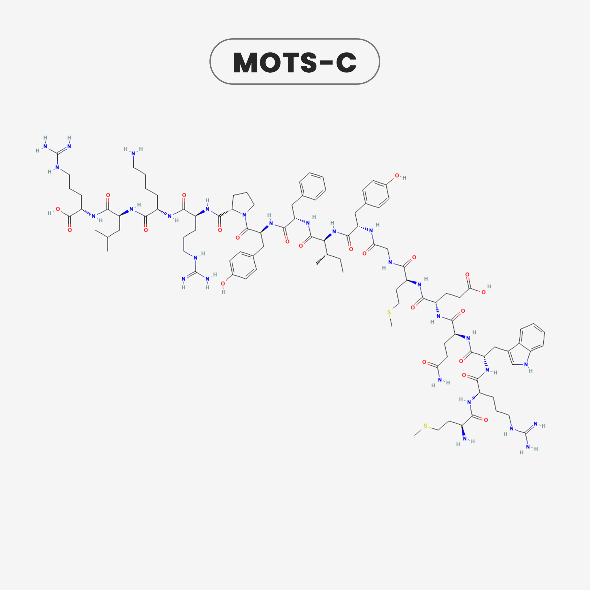 MOTS-c view 2