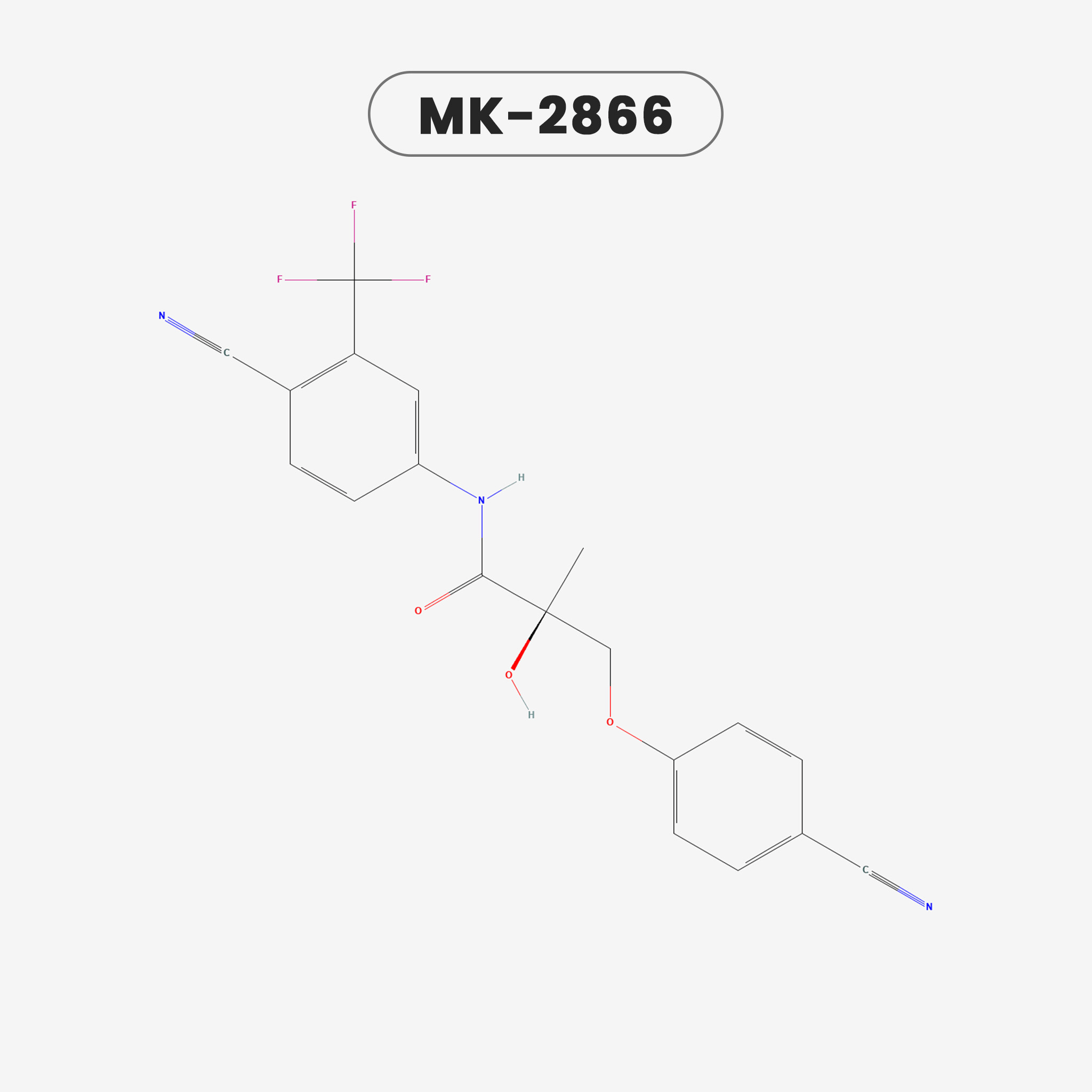 MK2866 (Ostarine) - Vascular view 2